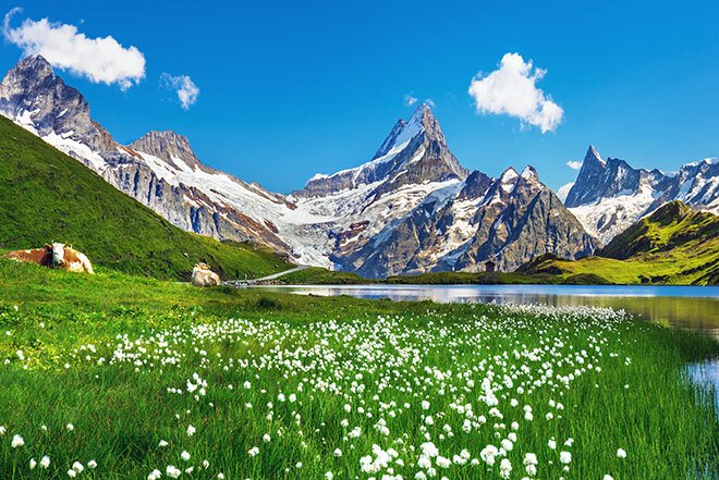 Our Top Alpine Resorts for the Summer 2026